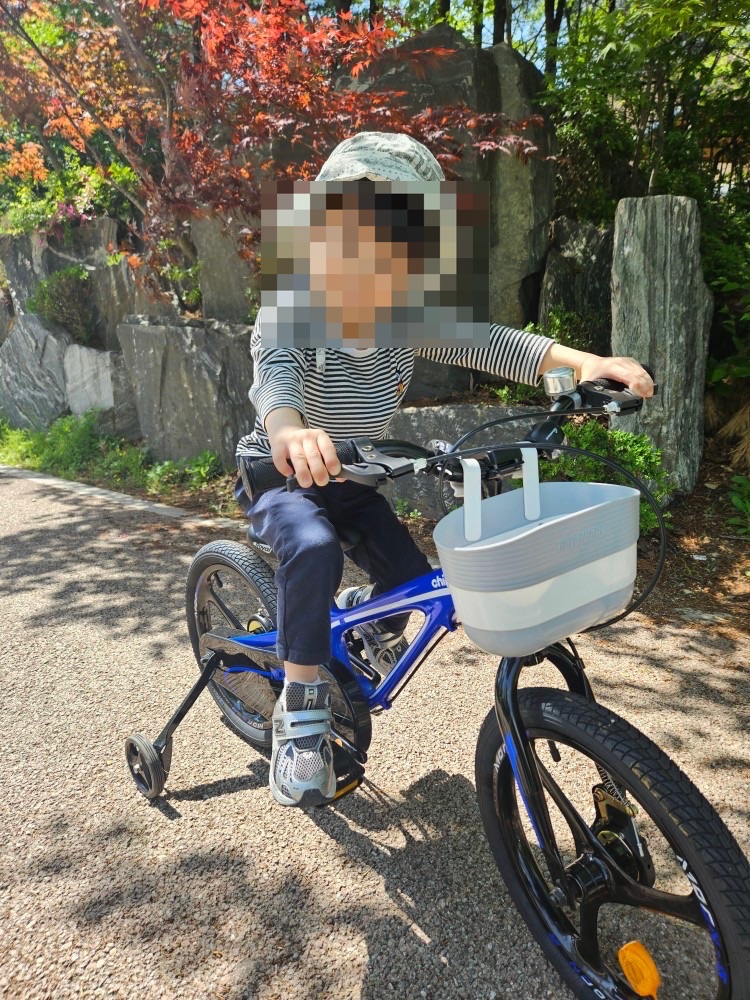 로얄베이비 14인치 자전거